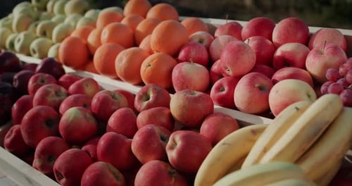 Colorful Fruit Display at Farmers Market