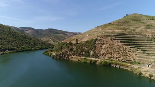 Flying over a terraced hillside vineyard in the Douro Valley of Portugal. Aerial, 4K.