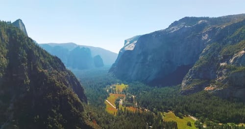 Pine tree woods growing on the mountains and valley. Sunlit panorama of amazing rocks
