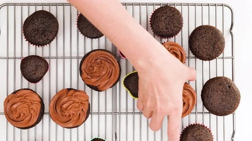 Icing Chocolate Cupcakes, Top Down View