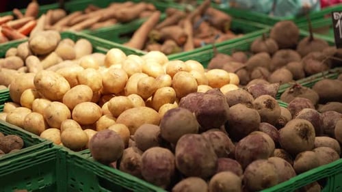 Fresh Organic Vegetables in the Store
