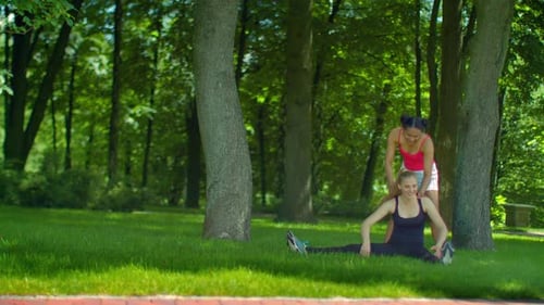 Young women stretching together before fitness workout in summer park