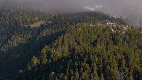 Seitliches Zoomen der Luftaufnahme über wunderschöne grüne, üppige Pinienwälder in Schweizer Bergen, Schweiz, mit ep