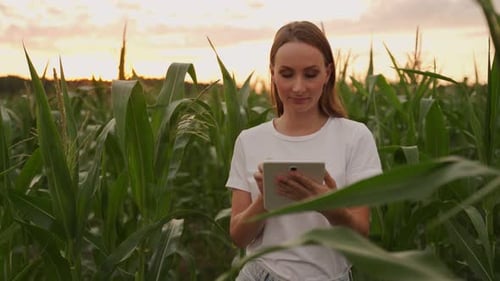 Regenerative Organic Farm