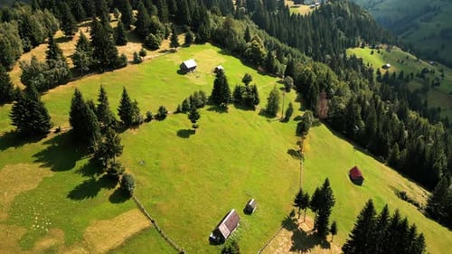 Aerial drone view of the Carpathians in Romania. Mountain and hill slopes covered with lush forest,