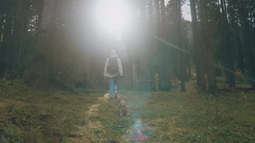 Camera in following young woman with blonde hair and backpack hiking in untouched green forest