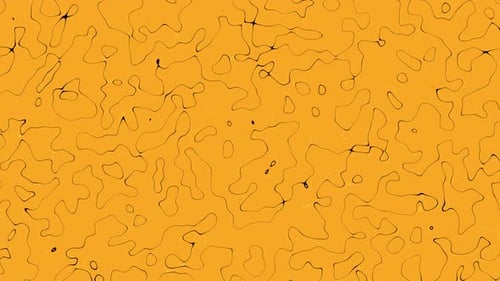 Dynamic Abstract Organic Lines on Orange Background
