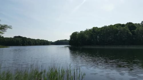 Drone flight from the beach shore into the lake, view of a green island