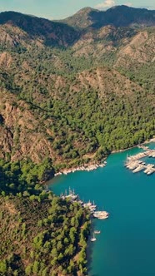 Aerial of boats docked along green coastline