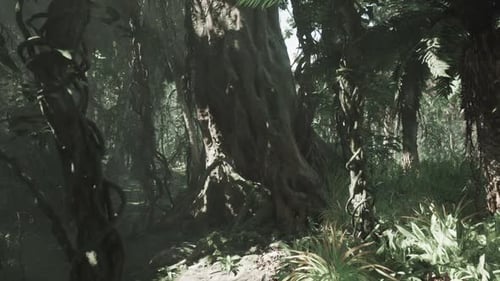 Lush Green Jungle Landscape in China Showcasing Vibrant Vegetation and Wildlife