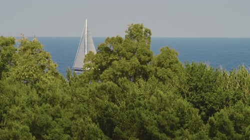 Sailboat Sails in the Sea