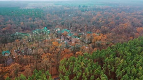 Wunderschöner Entspannungsbereich. Drohnen-Luftaufnahme der Waldlandschaft mit komplexem Gebiet