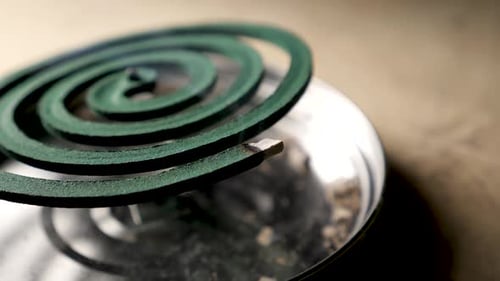 Mosquito Coil Repellent
Close Up Of Mosquito Coil