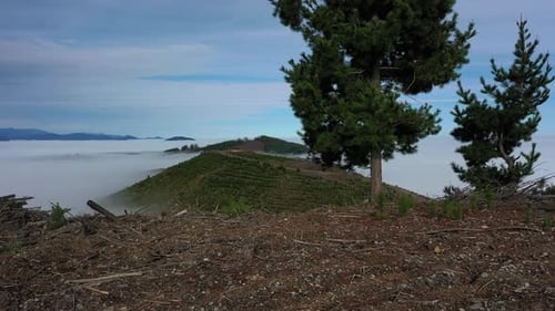 Panoramalandschaft mit Bergen im Regenwald und Wolken mit Nebel in Chile