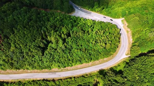 Winding road through lush green forest.