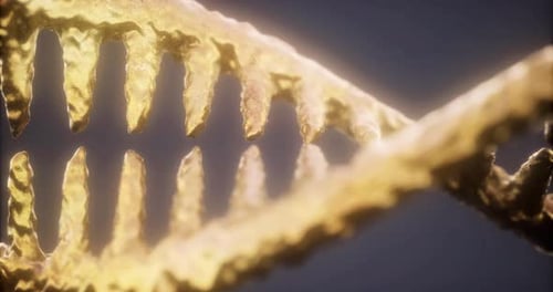 Exploring the Intricate Beauty of Dna Strands in a Stunning Visual Display