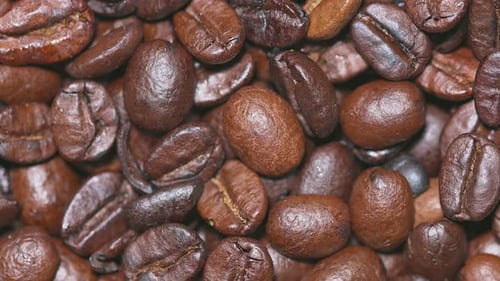 Roasted Coffee Grains on the Turntable
