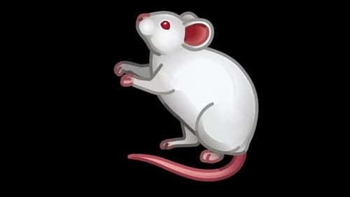 White Rat Animated Emoji