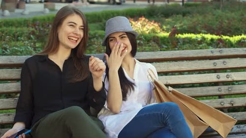 Joyful Female Friends Share Laughter on a Sunny Bench
