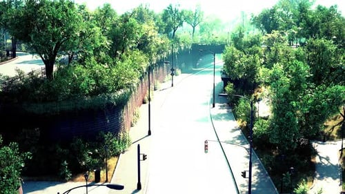 Country Asphalt Road and Green Trees Nature Landscape in the Summer