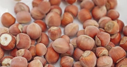 Hazelnuts Falling on White Background