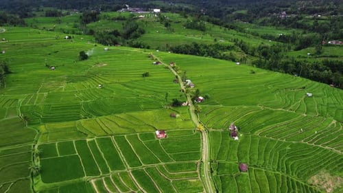 Vidéo aérienne d'une magnifique rizière paysagère sur les rizières de Jatiluwih, à Bali, en Indonésie, avec un