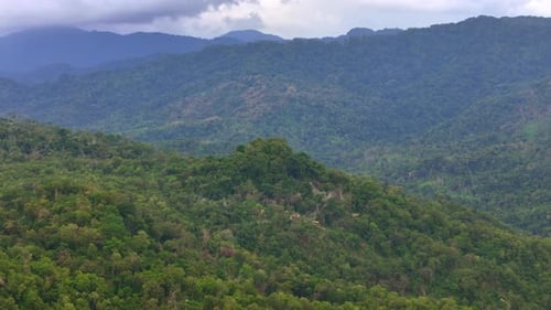 Aerial tropical rainforest hills green jungle mountain layers