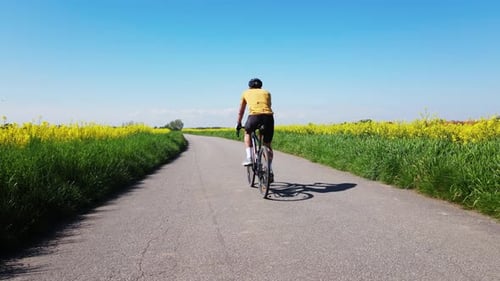 Cyclist Riding Bicycle on Countryside Road Near Rapeseed Fields