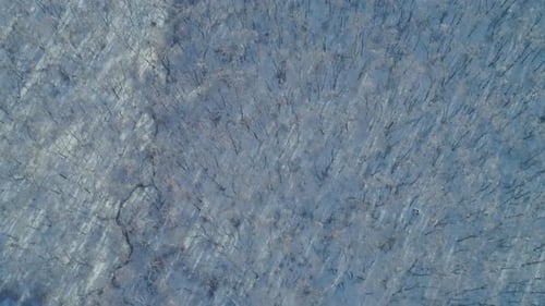 Aerial Winter Mountain Landscape of a Frozen Forest with Snow and Ice Covered Trees on a Sunny