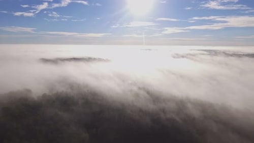Forest Surrounded By Morning Fog Illuminated By Sunrise. Aerial Dolly In