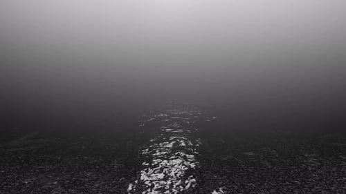 Foggy Sea