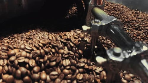 Coffee Beans Rotating in a Roasting Machine