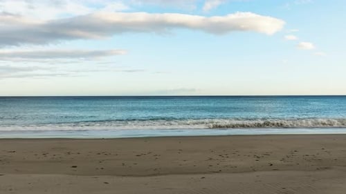 Solitude on a Sandy Beach
