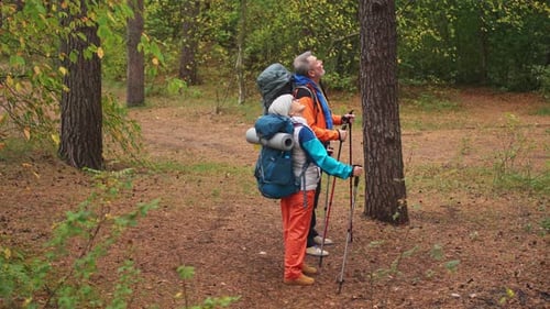 Hiking Tourism Adventure Senior Couple Man Woman Enjoying Outdoor Recreation Hiking in Forest Happy