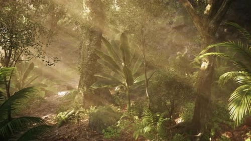 Sonnenlicht, das durch dichtes Laub in einem üppigen Tropenwald gefiltert wird