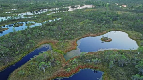 An aerial view of several lakes surrounded by trees