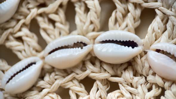 Shells On A Straw Bag, Industrial Stock Footage ft. abstract & aquatic ...