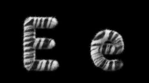 Animação 3D de uma letra de lã Zebra maiúscula e minúscula E