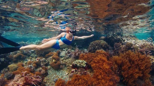 Woman in Blue Swimsuit Snorkeling in the Shallow Area of Tropical Sea and Slowly Swims Over the