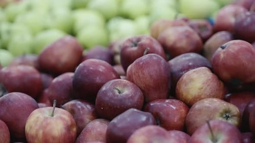 Red and green apples close-up in a supermarket produce department.