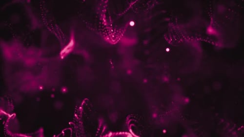 Abstract Fluid Glowing Pink Particle Background Loop