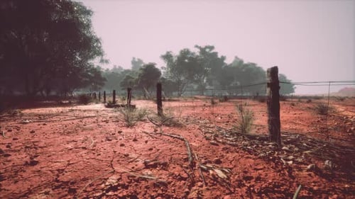 Rustic Australian Outback Fence Landscape Animation