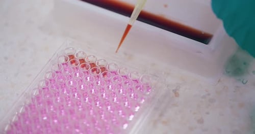 Scientifique travaillant dans un laboratoire médical pour la recherche sur le cancer et la pandémie de Covic 19