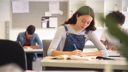 Happy College Student Smiling During Lesson. Portrait of Smart Girl Looking At
