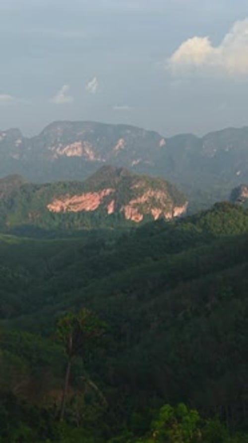 Panoramic View of a Mountain Range Covered in Lush Green Forest