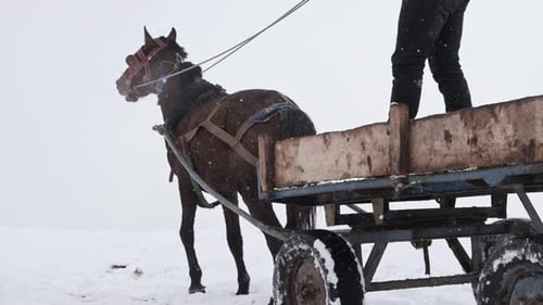 Man Driving Horse Cart Through Snowy Landscape