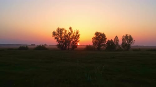 Picturesque Sunrise behind Trees in Rural Landscape