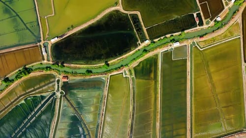 Drone arc from top of local fish farm with river in the middle