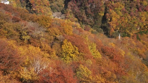 Autumn Mountain View