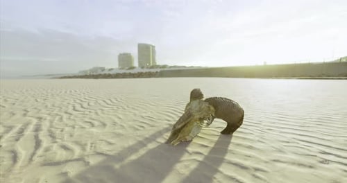 Creatures Exploring Sandy Beach at Sunset Near Urban Skyline
